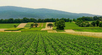 México y República Dominicana buscan fortalecer sector agroalimentario