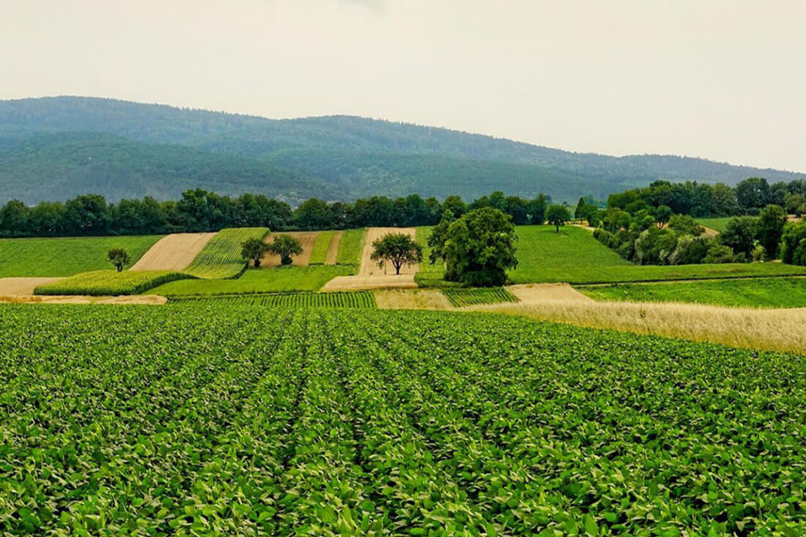 México y República Dominicana buscan fortalecer sector agroalimentario