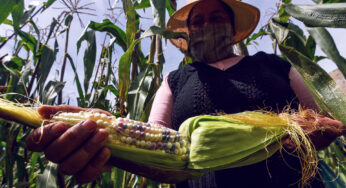 Soberanía alimentaria, tarea pendiente