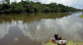 Paraguay violó derecho de indígenas al no prevenir contaminación