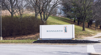 Monsanto paga miles de millones en EU y en México se le cierran las puertas; ¿qué sigue?