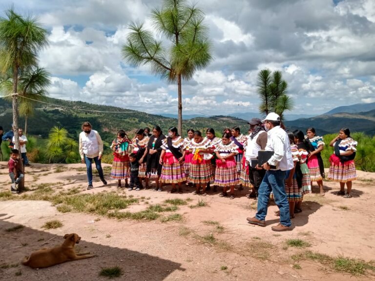 Consejo Indígena y Popular de Guerrero Emiliano Zapata (Cipog-EZ)