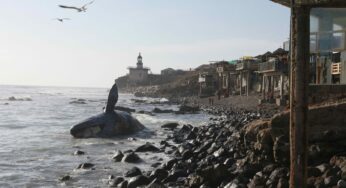 Profepa cerrará oficinas en Tijuana y Ensenada