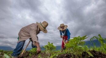 Durante 40 años, el sur-sureste aportó el 40% de los ingresos: AMLO