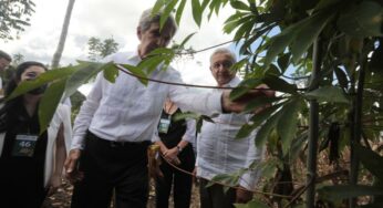 México lidera combate al cambio climático: John Kerry