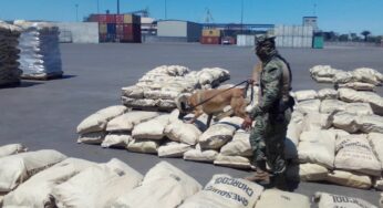 Marina asegura más de 4 mil kilogramos de cocaína