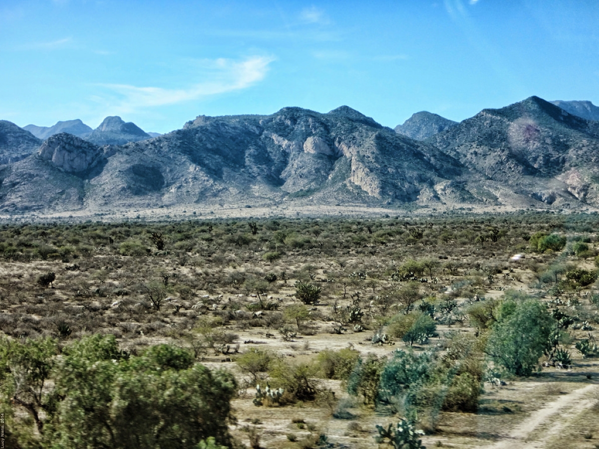 Sierra de San Miguelito, SLP, nueva Área Natural Protegida