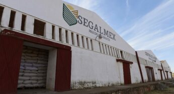 Grupo interinstitucional revisó caso Segalmex: Luisa Alcalde