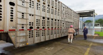 Sader capacitó a oficiales de Honduras y Nicaragua en inspección agroalimentaria