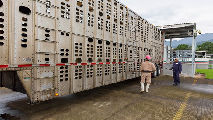 Sader capacitó a oficiales de Honduras y Nicaragua en inspección agroalimentaria