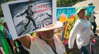 CropLife, Monsanto, Syngenta y Corteva, detrás de controversia contra México