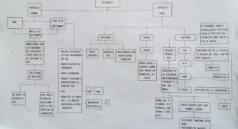 Movimientos armados y Guerra Sucia: los archivos de la Marina