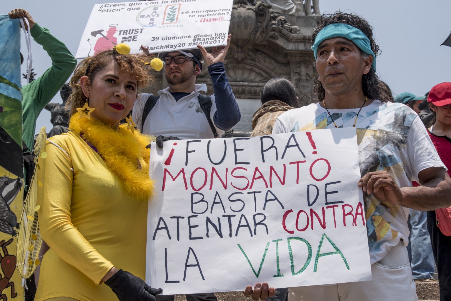 Justicia mexicana no debe amparar a Monsanto y sus transgénicos