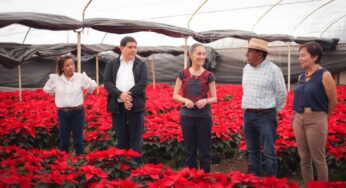 Xochimilco produjo 1 millón 656 mil plantas de nochebuena para venta