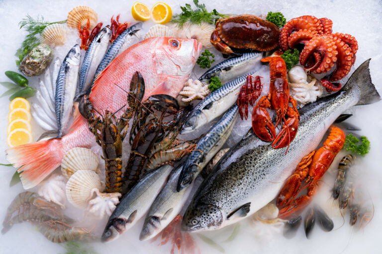 Pescados y mariscos