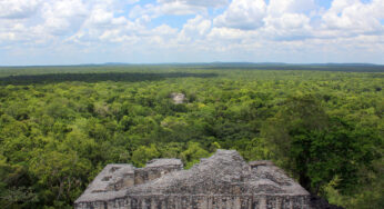 Calakmul, segunda reserva de selva tropical más grande del mundo: Albores