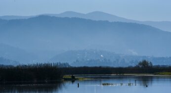 Omisiones ponen en riesgo ecosistemas costeros y marinos únicos