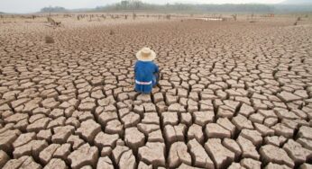 ONU llama a la acción urgente contra el cambio climático