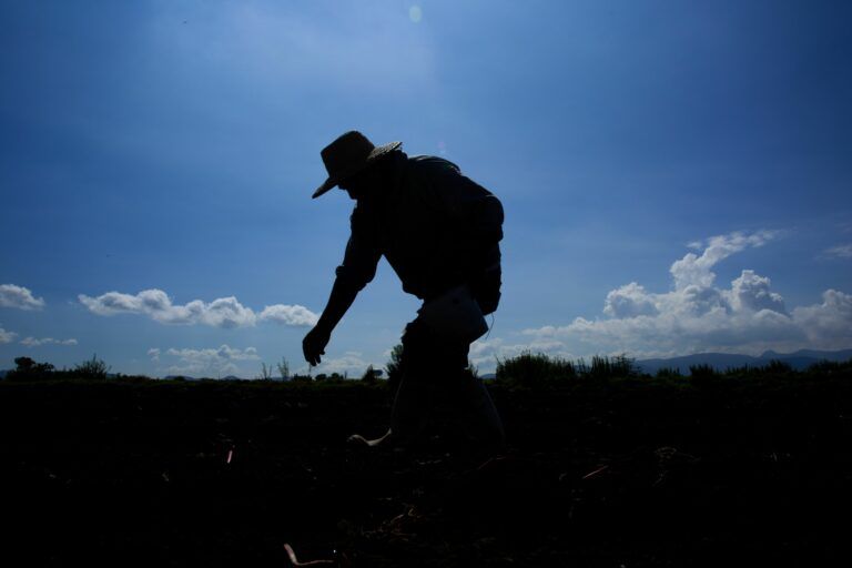 El 2 de junio, el gobierno de EU intensificó su conflicto con México por las restricciones impuestas sobre al maíz genéticamente modificado.