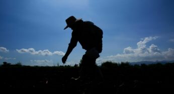 El asalto estadunidense a la soberanía alimentaria de México