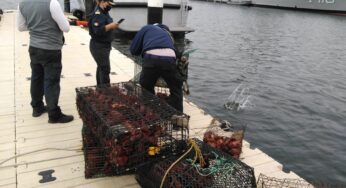 EU y México colaborarán para detener “pesca ilegal” en Alto Golfo de California