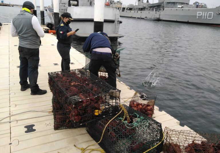 EU y México colaborarán para detener “pesca ilegal” en Alto Golfo de California