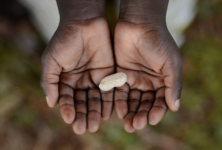 Roma, Italia. Actualmente hay 735 millones de personas que padecen hambre en el mundo. Son 122 millones más que hace cuatro años.