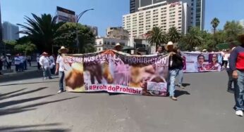 En CDMX, galleros, taurinos y comerciantes se oponen a la Ley de Protección a los Animales