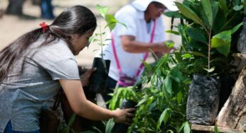 Colombia integrará programas Sembrando Vida y Jóvenes Construyendo el Futuro