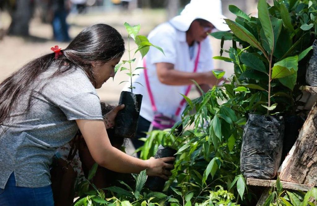 Colombia integrará programas Sembrando Vida y Jóvenes Construyendo el Futuro