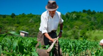 Producción para el Bienestar ha contribuido en la reducción de la desigualdad: Víctor Suárez