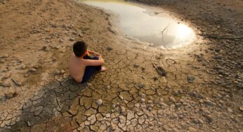 La crisis climática, al rojo vivo en el verano norte