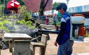 Ante los casos de presencia de chinches en algunas facultades de la UNAM, la Secretaría de Salud de la CDMX descartó una alerta sanitaria