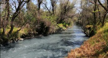 Científicos revelan que contaminación en Alto Atoyac causa enfermedades terminales