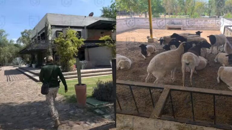 FGJCDMX asegura rancho de Felipe de Jesús Gutiérrez