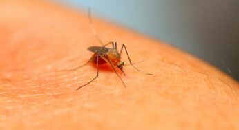 La lucha contra la malaria está en riesgo por el cambio climático