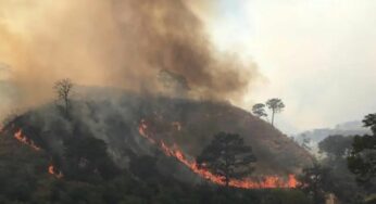 América Latina debe invertir al menos 4% del PIB para mitigar daño ambiental