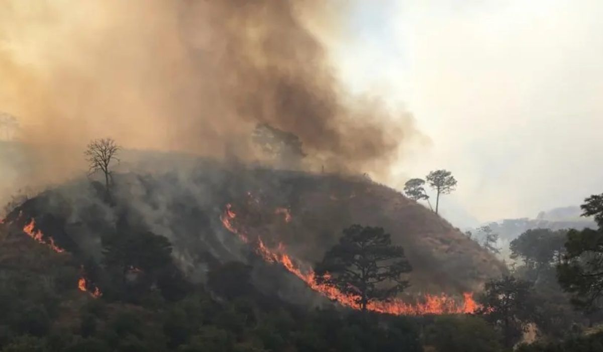 América Latina debe invertir al menos 4% del PIB para mitigar daño ambiental