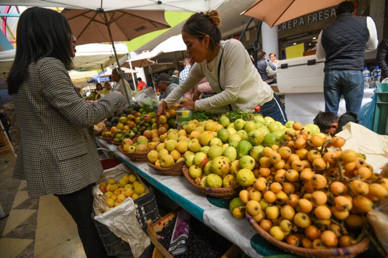 Aumenta alimentación sana, seguridad social y educación; disminuyen servicios de salud, informó el Coneval