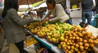 Aumenta alimentación sana, seguridad social y educación; disminuyen servicios de salud: Coneval