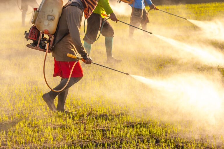 Ricardo Gallardo Vara trató de utilizar el último de 35 amparos a favor del glifosato para impulsar los intereses de Bayer-Monsanto