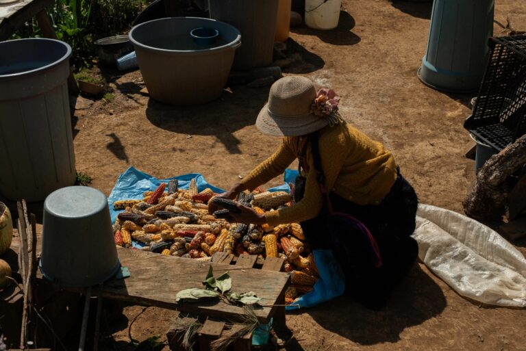 Es el momento de liberar al campo mexicano del modelo agrotóxico. Éste nos vuelve dependientes de las corporaciones y gobiernos extranjeros