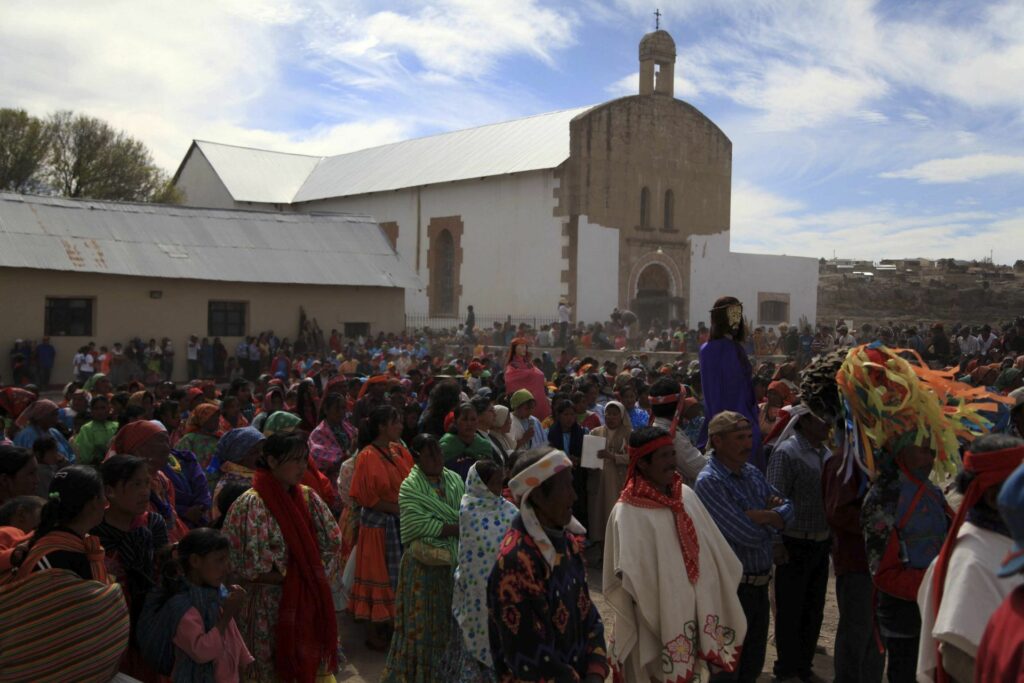 La delincuencia organizada es una de las principales causas de la deforestación, violencia y degradación ambiental en la Sierra Tarahumara