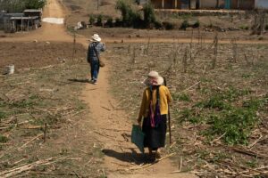 La sobreexplotación del campo a través del uso masivo de los abonos y fertilizantes contribuye a la degradación del suelo