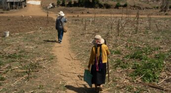 ¿Qué amenaza al campo mexicano?