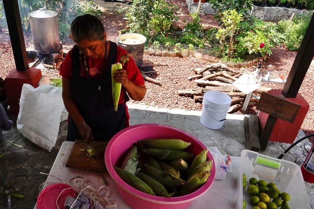 EU alega que México no ha presentado pruebas científicas que respalden sus restricciones al uso de maíz transgénico en las tortillas