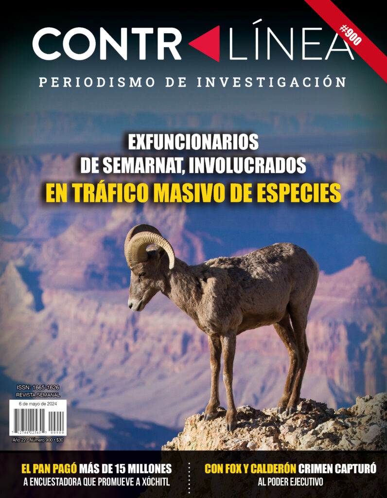 Investigaciones de la Semarnat encontraron irregularidades sistemáticas en la operación de la Dirección General de Vida Silvestre