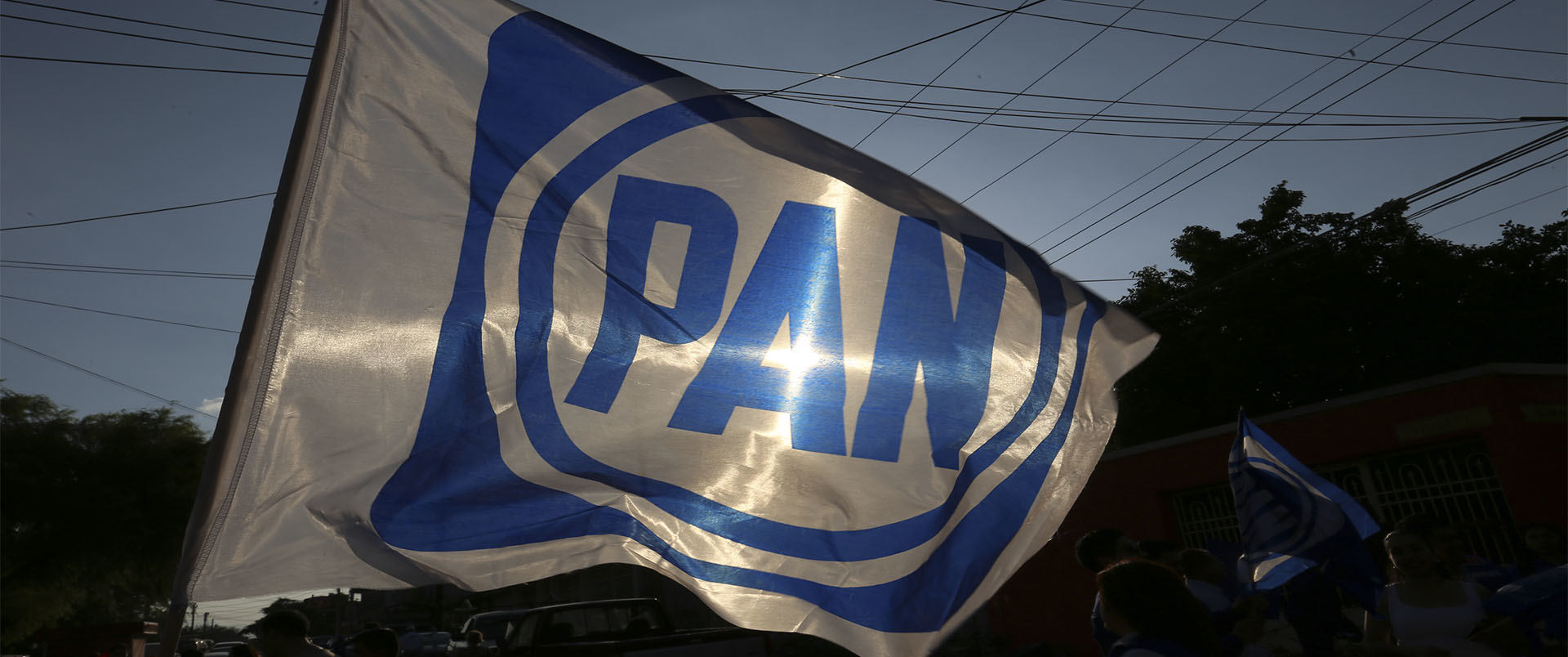 Bandera del PAN