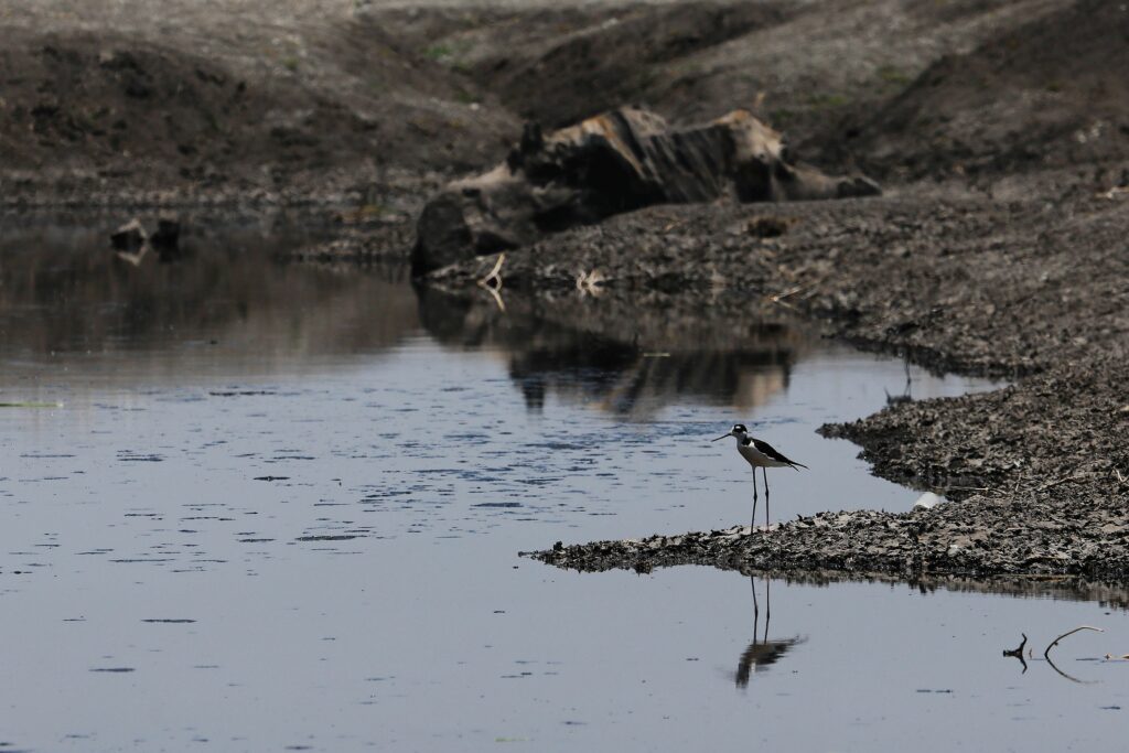 La escasez de agua en Bogotá y CDMX, en los embalses de Chile son señales del estrés hídrico que avanza con las sequías en AL y el Caribe