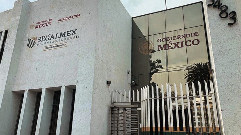 156 denuncias por fraude a Segalmex, informó Grisel Galeano, titular de la Procuraduría Fiscal de la Federación.